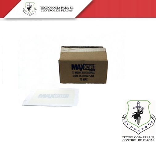 TRAMPA DE GOMA MAX-CATCH (CAJA)